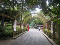 -润和祥小砵头甜酒酿