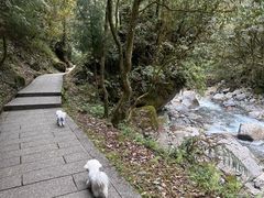 -西岭雪山大飞水景区