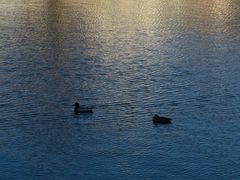 -东华门大街小区