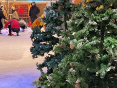 -宁波冰雪大世界(北仑区)