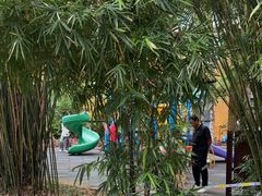 -三亚湾海居铂尔曼度假酒店