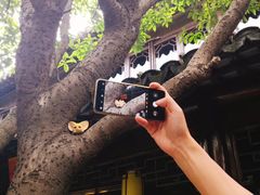 -我嘉书房(南翔名士居店)