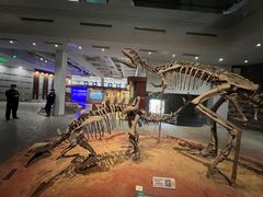 -自贡恐龙博物馆