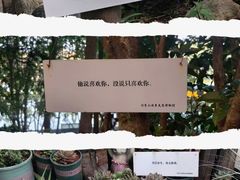 -湖泉半山温泉