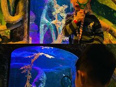 -沈阳海洋探索中心