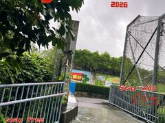 -深圳野生动物园