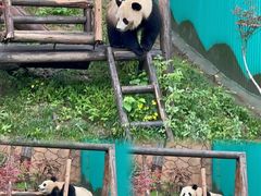 -乐和乐都主题乐园