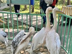 -水上乐园·欢乐世界