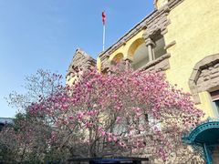 -青岛德国总督楼旧址博物馆