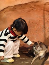 -Zoolung Zoolung动物主题公园(海信广场店)