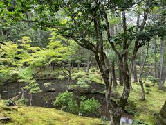 -西芳寺(苔寺)