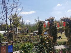 -东平国家森林公园