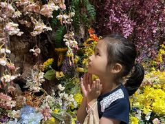 -正佳雨林生态植物园