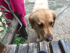 -浔岚云舍mist静谧观景美宿(丽江古城店)