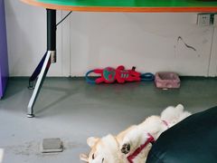 -LaFBagel手作烘焙工作室