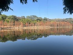 -三水森林公园