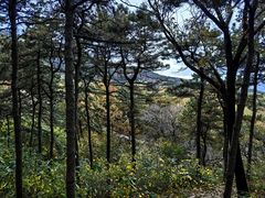 -北京西山国家森林公园