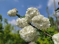 -老鼎万春卤菜(五代传承创始老店)