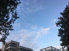 -留芳·文旅古月楼(老街店)