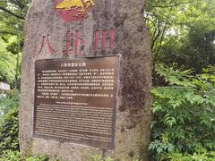 -八卦田遗址公园