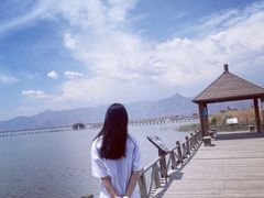 -哈素海