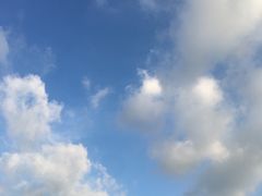 -正宗阳山牛杂(东城店)