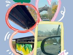 -广富林郊野公园