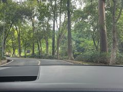 -火炉山森林公园