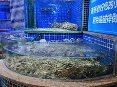 -青蓬蒸汽海鲜·深圳老字号·团建聚会(壹方城店)