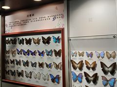 -吉林省自然博物馆