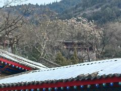 -华清宫景区
