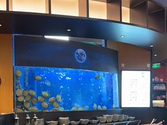 -炉角·鲍鱼牛腩煲(国贸商城店)