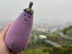 -福道