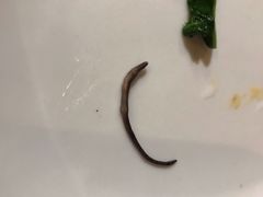 -HOHO餐厅(古子城店)