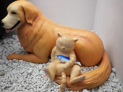 -小杨生煎(湟普汇店)