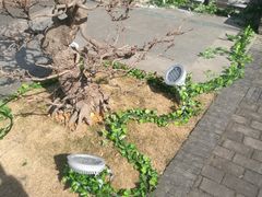 -四川大学(华西校区)