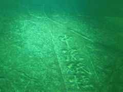 -白鹤梁水下博物馆