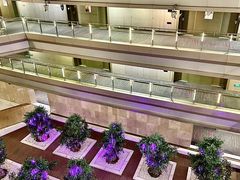 -南京禄口机场雅高铂尔曼大酒店