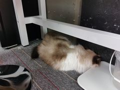 -零纪元VR体验馆·桌游(黄浦店)