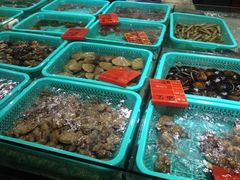 -渔傅·蓝海岸霞浦海鲜(正祥店)