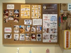 -滚猫咖啡·猫咖·猫友好撸猫(未来城店)
