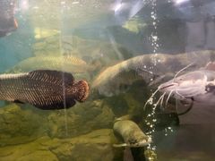 -泉州海丝野生动物世界