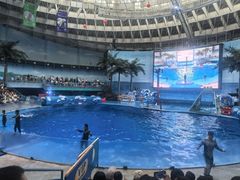 -海合安成都极地海洋公园