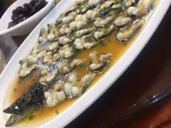 -呼吸森林·生态农庄农家乐私房菜