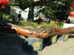 -新安江山水画廊风景区