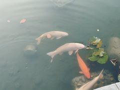-晋江五店市传统文化旅游区