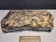 -青田石雕博物馆