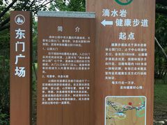 -滴水岩森林公园