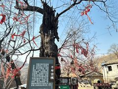 -水峪民俗村