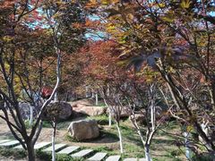 -广州市帽峰山景区
